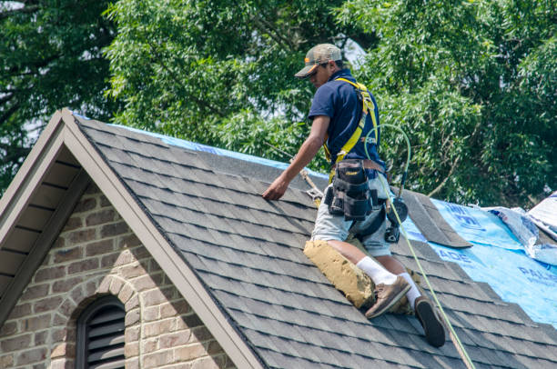 Best Gutter Installation and Roofing  in Maypearl, TX